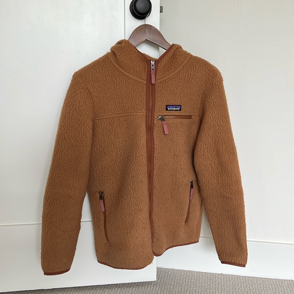 Patagonia Retro Pile Zip Hoodie